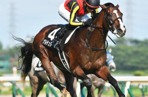 菊花賞2025　ビビットAIが選んだ有力馬⑫ゲルチュタール