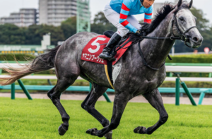 菊花賞2025　ビビットAIが選んだ穴馬④ヤマニンブークリエ