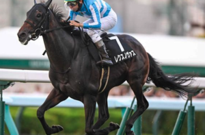 菊花賞2025　ビビットAIが選んだ穴馬⑧レクノスヴァス