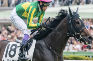 毎日王冠の有力馬：サトノシャイニング