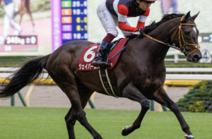 毎日王冠の穴馬：ジェイパームス