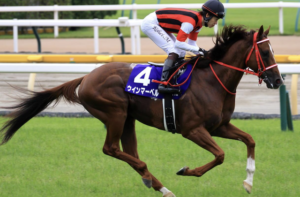 スワンステークス2025のビビットAIが選んだ有力馬：⑤ウインマーベル