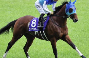 スワンステークス2025のビビットAIが選んだ有力馬：⑭アドマイヤズーム