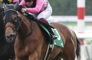 スワンステークス2025のビビットAIが選んだ穴馬：③ムイ