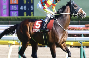 スワンステークス2025のビビットAIが選んだ穴馬：⑰アサカラキング