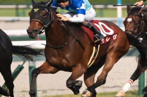秋華賞2025 ビビットAIが選んだ有力馬：⑧テレサ