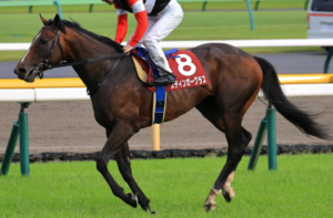 アルゼンチン共和国杯2025　ビビットAIが選んだ有力馬：⑱スティンガーグラス