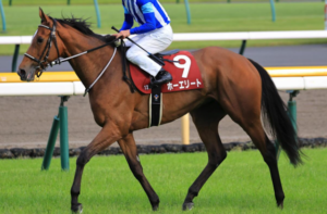アルゼンチン共和国杯2025　ビビットAIが選んだ有力馬：⑪ホーエリート