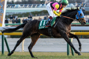 アルゼンチン共和国杯2025　ビビットAIが選んだ穴馬：⑦シュトルーヴェ