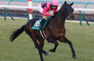 アルゼンチン共和国杯2025　ビビットAIが選んだ穴馬：⑧ボーンディスウェイ