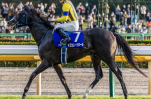 ジャパンカップ2025 ビビットAIが選んだ有力馬⑮マスカレードボール