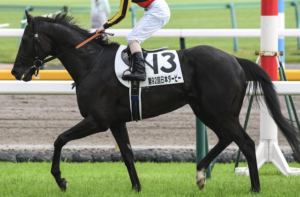 ジャパンカップ2025 ビビットAIが選んだ有力馬②クロワデュノール