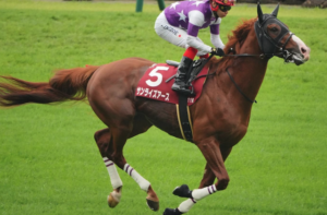 ジャパンカップ2025 ビビットAIが選んだ穴馬⑤サンライズアース