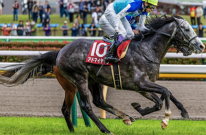 ジャパンカップ2025 ビビットAIが選んだ穴馬⑪アドマイヤテラ