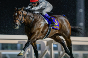 JBCレディスクラシック2025　ビビットAIが選んだ有力馬：オーサムリザルト