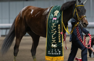 JBCレディスクラシック2025　ビビットAIが選んだ有力馬：テンカジョウ