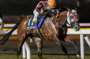 JBCレディスクラシック2025　ビビットAIが選んだ穴馬：グランブリッジ