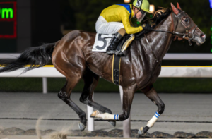 JBCレディスクラシック2025　ビビットAIが選んだ穴馬：ザオ