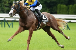 京王杯2歳ステークス2025　ビビットAIが選んだ有力馬：⑩ダイヤモンドノット