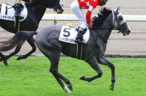 京王杯2歳ステークス2025　ビビットAIが選んだ有力馬：⑯レッドスティンガー