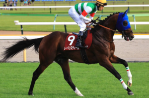 マイルチャンピオンシップ2025　ビビットAIが選んだ有力馬⑭レーベンスティール