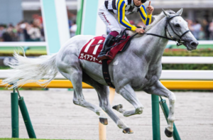 マイルチャンピオンシップ2025　ビビットAIが選んだ有力馬⑥ガイアフォース