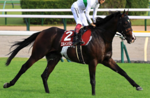 マイルチャンピオンシップ2025　ビビットAIが選んだ穴馬⑨エルトンバローズ