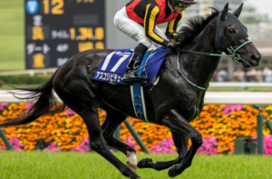 マイルチャンピオンシップ2025　ビビットAIが選んだ有力馬⑤アスコリピチェーノ