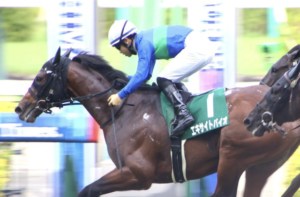 有馬記念 AI予想 穴馬②エキサイトバイオ