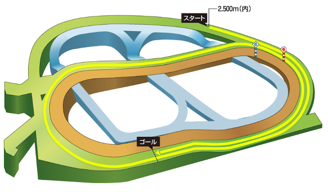 有馬記念2025のコース 中山競馬場芝2500m