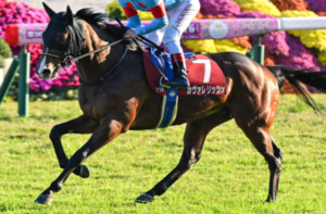 朝日杯フューチュリティステークス2025　ビビットAIが選んだ有力馬：⑧カヴァレリッツォ