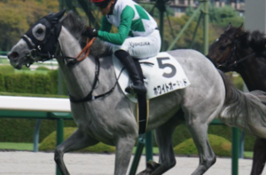 朝日杯フューチュリティステークス2025　ビビットAIが選んだ穴馬：②ホワイトオーキッド