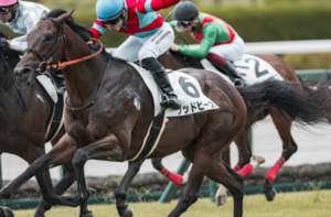 朝日杯フューチュリティステークス2025　ビビットAIが選んだ穴馬：①グッドピース