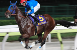 チャンピオンズカップ2025　ビビットAIが選んだ有力馬⑫ナルカミ