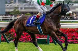 チャンピオンズカップ2025　ビビットAIが選んだ有力馬⑪シックスペンス