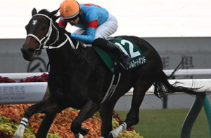 チャンピオンズカップ2025　ビビットAIが選んだ有力馬②ダブルハートボンド