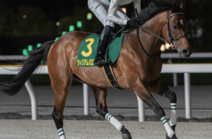 チャンピオンズカップ2025　ビビットAIが選んだ穴馬①ウィリアムバローズ