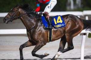 チャンピオンズカップ2025　ビビットAIが選んだ穴馬⑦ラムジェット