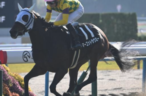 阪神ジュベナイルフィリーズ2025　ビビットAIが選んだ有力馬⑦マーゴットラヴミー