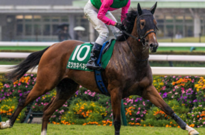 阪神ジュベナイルフィリーズ2025　ビビットAIが選んだ穴馬③ミツカネべネラ