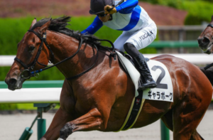 阪神ジュベナイルフィリーズ2025　ビビットAIが選んだ穴馬⑤ギャラボーグ