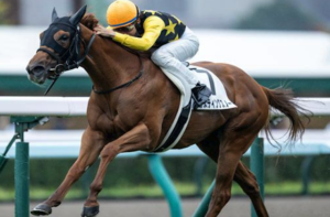 阪神ジュベナイルフィリーズ2025　ビビットAIが選んだ穴馬⑮ラスティングスノー