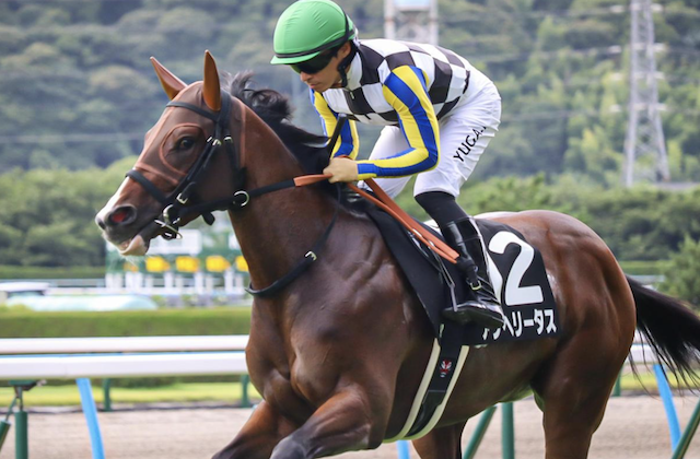 阪神ジュベナイルフィリーズのサイン馬券 アンヘリータス