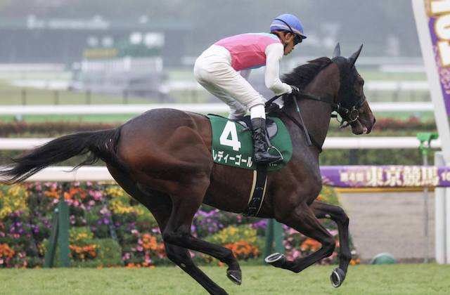 阪神ジュベナイルフィリーズのサイン馬券 レディーゴール