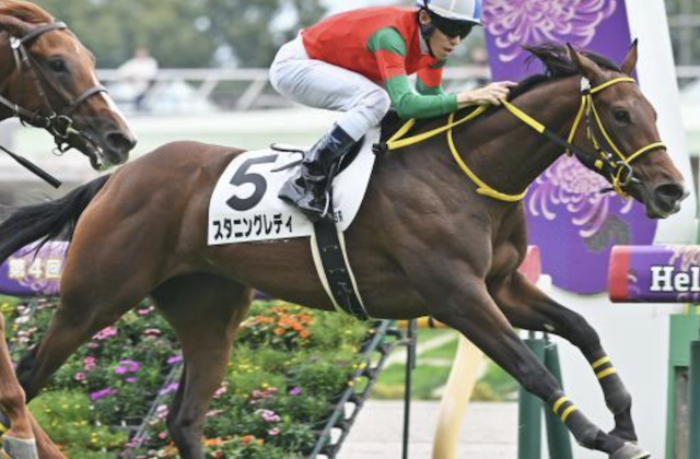 阪神ジュベナイルフィリーズのサイン馬券 スタニングレディ