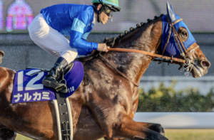 東京大賞典2025　ビビットAIによる有力馬③ナルカミ