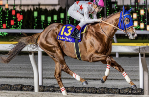 東京大賞典2025　ビビットAIによる有力馬⑬ミッキーファイト