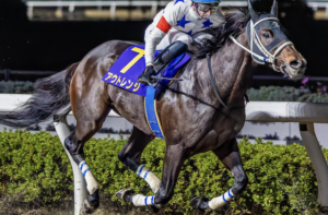 東京大賞典2025　ビビットAIによる穴馬⑮アウトレンジ