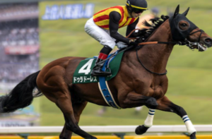 アメリカジョッキークラブカップ2026　ビビットAIが選んだ有力馬：⑭ドゥラドーレス