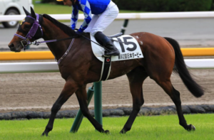 アメリカジョッキークラブカップ2026　ビビットAIが選んだ穴馬：⑮ファウストラーゼン